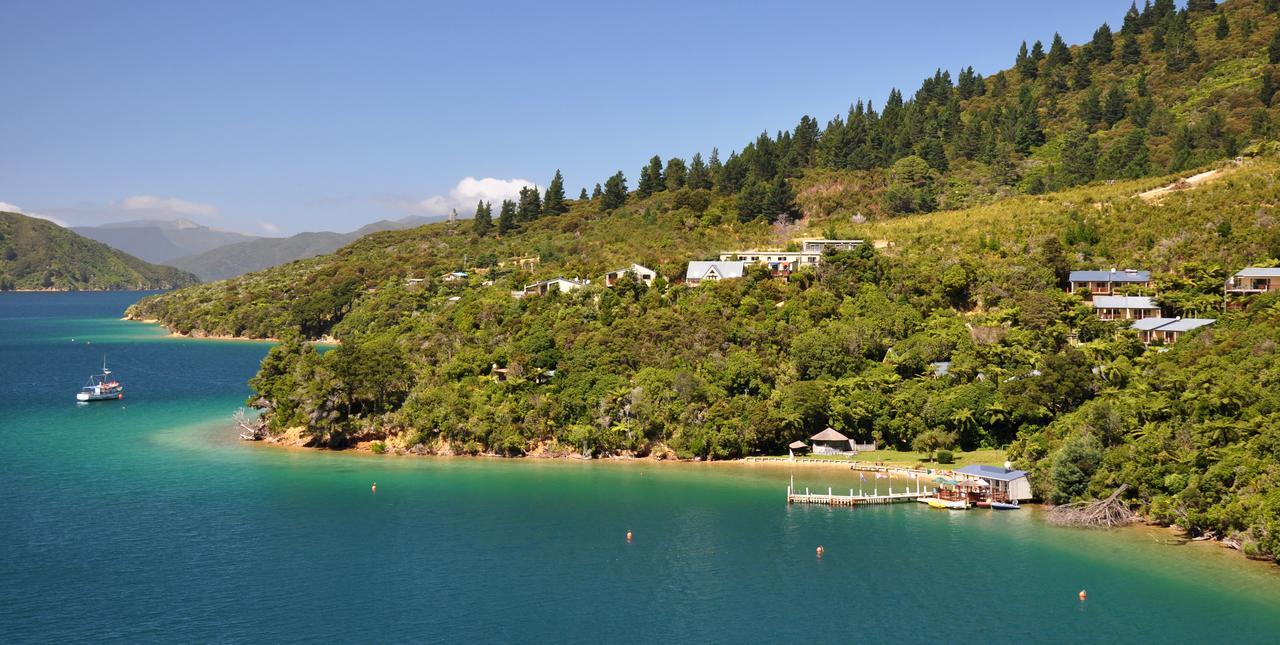 Punga Cove Resort Endeavour Inlet Extérieur photo