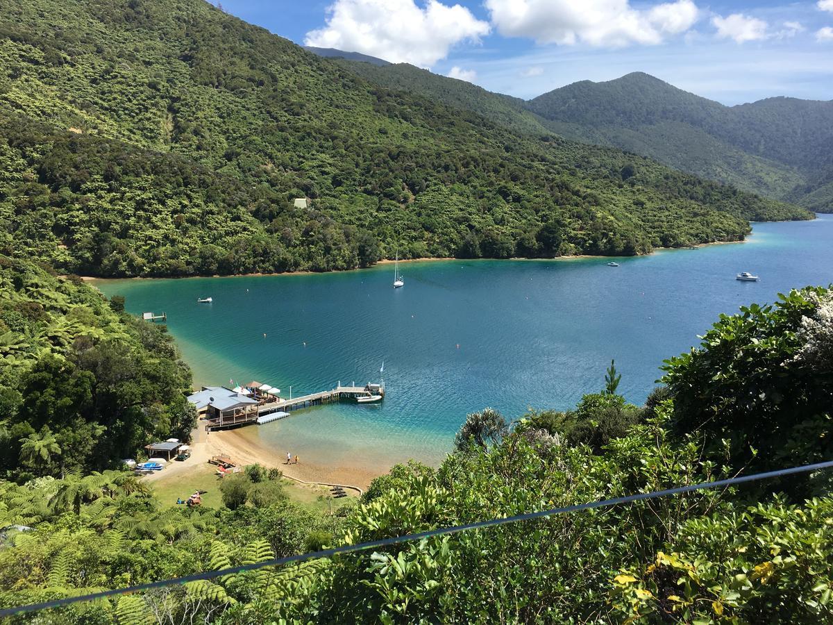Punga Cove Resort Endeavour Inlet Extérieur photo