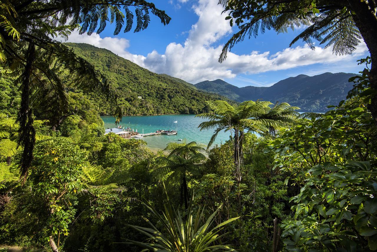 Punga Cove Resort Endeavour Inlet Extérieur photo