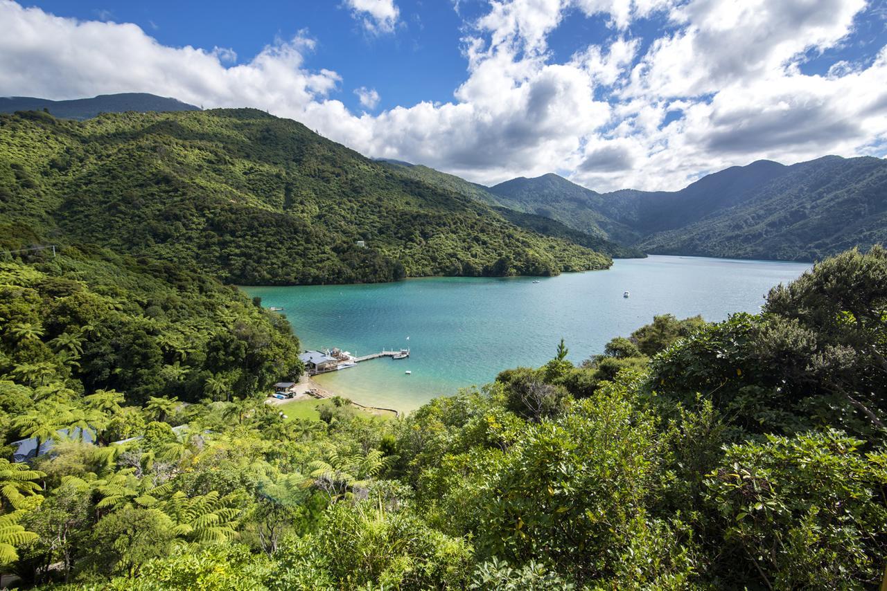 Punga Cove Resort Endeavour Inlet Extérieur photo